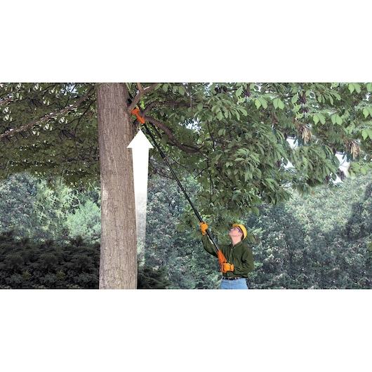 BLACKDECKER GPC1820L20 pole saw used to prune high tree branches outdoors.