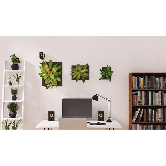 Photo of BLACKDECKER REVBDLL100 laser level mounted on a wall above a modern desk with plants and bookshelves.